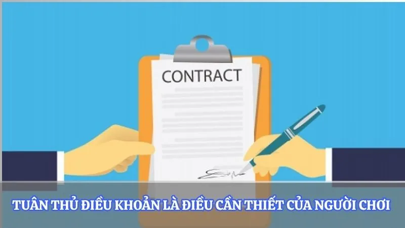 Tuân thủ điều khoản là điều cần thiết của người chơi 